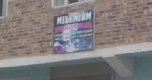 MILENIUM PAPELERIA Y MISCELANEA MILENIUM PAPELERIA Y MISCELANEA